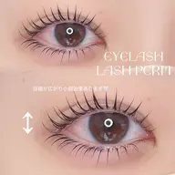 9月限定🐇🌾ミニモ限定価格《ラッシュリフト上下》