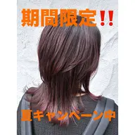 夏キャンペーン☀️【カラー】期間限定‼️今後使える🉐4500円分クーポン付✨