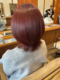 【2,3回目ご来店限定⭐️】美髪カラー＋3stepTR