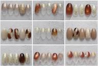 長さだし10本シンプル定額
