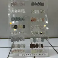 【オフなし】ウェルカムコース