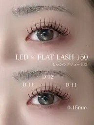 ✨【LED】✨フラットラッシュエクステモデル150本💫1日2名様限定‼️
