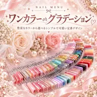 ワンカラー/グラデーション