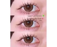 【中顔面短縮❕✨】パリジェンヌラッシュリフトorまつ毛パーマ(上)+下まつげエクステ20~40本🎀※詳細必読