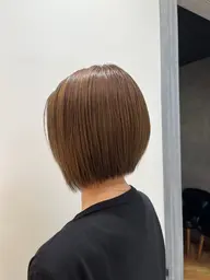 カットモデル