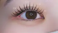 フラットラッシュ120本