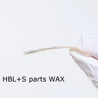 HBL(眉毛)+フェイスワックス(Sパーツ)