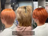 🌟ブリーチした方限定🌟【3週間以内】リペアカラー4,400〜