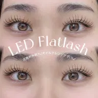 【オフ込】💡LEDフラットラッシュ💡100本¥6000 / 120本¥6500 minimo限定🫧コーティング込