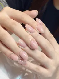 マオネイル ワンカラーorマグネット+美フォルム 2色選び可能