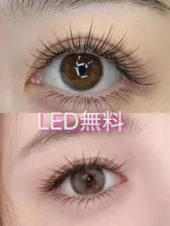 LED専門店🌻LED無料🎀漫画デザイン【ワンホンフラットラッシュ】 140本(ナチュラルワンホンデザイン)