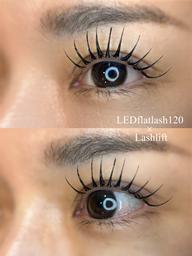 ⟡LED flatlash 120 × まつ毛パーマ⟡ ¥10000
