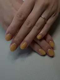 ワンカラー(オフ有)