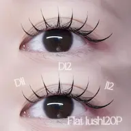 フラットラッシュ120本