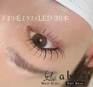 💚ご新規様限定メニュー💚練習モデル💚下まつ毛エクステ(LEDのみ) 30本💚