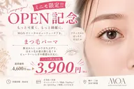 オープン記念🎁🌿似合わせまつ毛パーマ👀✨️