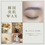 韓国美肌ワックス+眉ワックス ￥8300