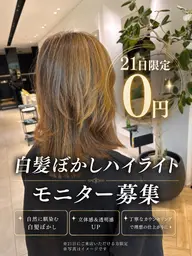 (急募21日限定募集)白髪ぼかしハイライト