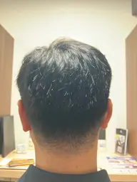 モデルカット