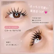🔰パリエク🕊️80本束感仕上げ✨残留除去アイシャンプー、コーティングつき