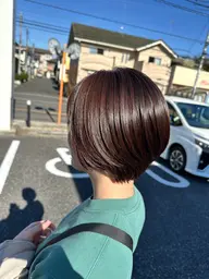 カット+プロテクトヘアカラー(白髪染も可)+クイックトリートメント