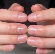 自爪風クリアカラー