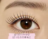 【限定】まつげパーマ（上下）パリジェンヌ選択可