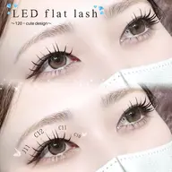 LEDフラットラッシュ100本4730円/120本5230円/オフ＋550円