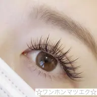 ワンホンマツエク🎀オフあり(120-140本)120本以上装着可能なかた募集🌟施術後目元撮影お願いしてます📸