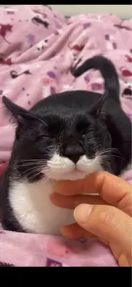 ちょっこ揉み／疲れ箇所30分もみほぐし