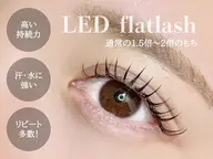 【高持続LED】ダブルフラット80束 ¥9,350