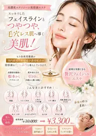 エレクトロポレーションフェイシャルエステ