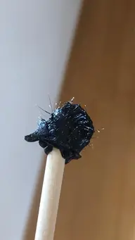 ワックス脱毛鼻毛