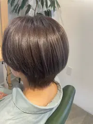 カラー(ワンカラー)