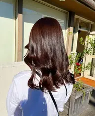 ワンカラーのみ