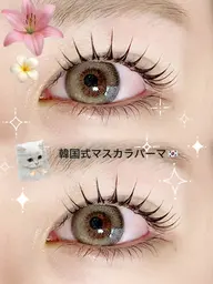 韓国式マスカラパーマ🇰🇷¥6.600