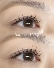 フラットラッシュ120本