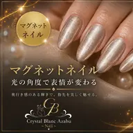【アンケート回答必須】マグネットネイル 1,800円
