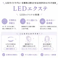 持続力UP◎LEDフラットラッシュ 💎100本💎(ブラックコーティング仕上げ付き