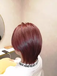 カット+ダブルカラー(ブリーチ)+バイカルテ3stepトリートメント
