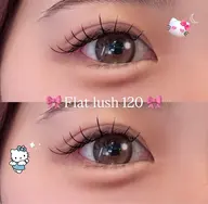 フラットラッシュ上下🐈⬛(120/40)コーティング付