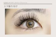 ⚠️予約リクエスト⚠️1日1名限定🎀上100本(ボリュームラッシュ×フラットラッシュ)・下30本🎀¥3000