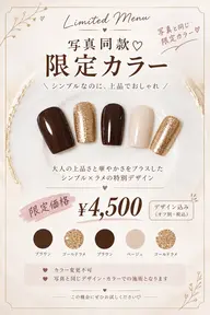 秋ネイル写真同款♡限定カラー写真と同じカラー・組み合わせ限定¥4,500オフ込み