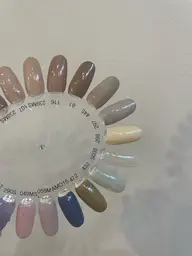 ✨ワンカラー/グラデーション【オフ込】✨