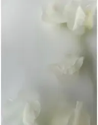 ⌇浴衣お着付け👘 ˊ˗