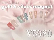 【 SNSで話題! 】gold silver マグネットワンカラーネイル🌟