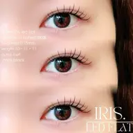 minimo限定🎀LEDフラットラッシュ 100本　90分