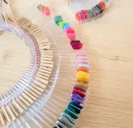 5名限定《特別価格》300色から選べるワンカラー