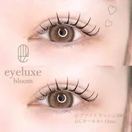 フラットラッシュ|100本|練習モデル🤎🌷(美容液コーティング付き)
