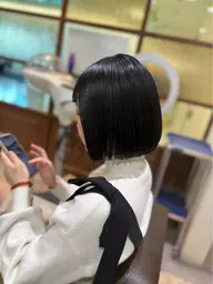 カットモデル